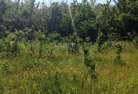 Istra - Barban - građevinsko zemljište, 850 m2, Barban, Land