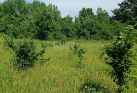 Istra - Barban - građevinsko zemljište, 850 m2, Barban, Land