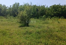 Istra - Barban - građevinsko zemljište s dozvolom, 1040 m2, Barban, Land