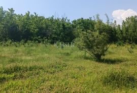 Istra - Barban - građevinsko zemljište s dozvolom, 1040 m2, Barban, Terreno