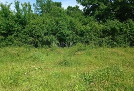 Istra - Barban - građevinsko zemljište s dozvolom, 1040 m2, Barban, Land