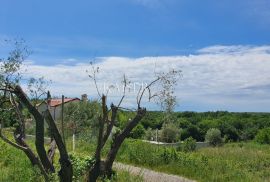 Istra - Lovreč, prekrasno građevinsko zemljište 1006m2, Sveti Lovreč, Tierra