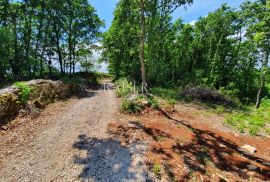 Istra - Lovreč, prekrasno građevinsko zemljište 1006m2, Sveti Lovreč, Land