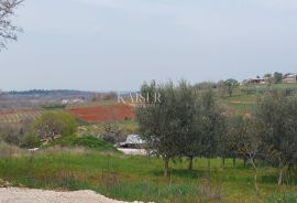 Istra, Poreč okolica - zemljište s pogledom na more, Poreč, Tierra