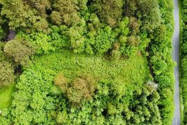 Crni Lug – građevinsko zemljište s prekrasnim pogledom, Delnice, Zemljište