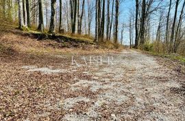 Crni Lug – građevinsko zemljište s prekrasnim pogledom, Delnice, Zemljište