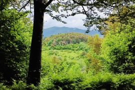 Crni Lug – građevinsko zemljište s prekrasnim pogledom, Delnice, Γη