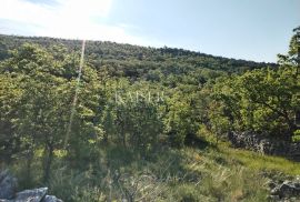 Jadranovo, zemljište 22000 m2, Crikvenica, Terrain