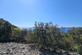 Otok Krk - poljoprivredno zemljište 150 m od mora, Krk, Terrain