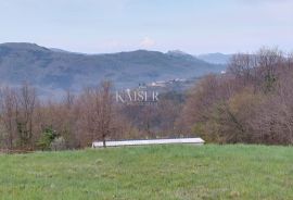 Istra, Motovun-poljoprivredno zemljište s pogledom na Motovun, Motovun, Terra