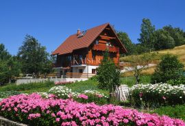 Mrkopalj, prekrasna drvena kuća s bazenom, Mrkopalj, Casa