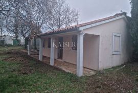 Istra - imanje, kompleks kuća na površini 32.000 m2, Barban, Terrain