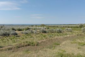 Istra - Vodnjan, luksuzna vila s pogledom na otočje Brijuni, Vodnjan, Famiglia