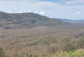 Istra - Motovun, zemljište sa građevinskom dozvolom za kuću, Motovun, Γη