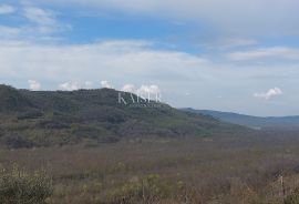 Istra - Motovun, zemljište sa građevinskom dozvolom za kuću, Motovun, Земля