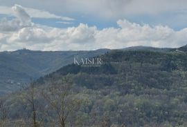 Istra - Motovun, zemljište sa građevinskom dozvolom za kuću, Motovun, Terrain