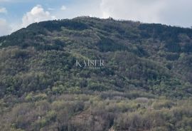 Istra - Motovun, zemljište sa građevinskom dozvolom za kuću, Motovun, Terrain