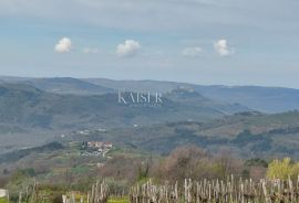 Istra - Motovun, zemljište sa građevinskom dozvolom za kuću, Motovun, Земля