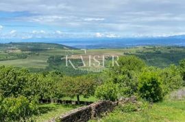 Buje - kamena kuća s ogromnim potencijalom, Buje, Terreno