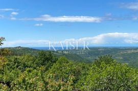 Buje - kamena kuća s ogromnim potencijalom, Buje, Land