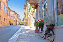 Buje - kamena kuća s ogromnim potencijalom, Buje, Land