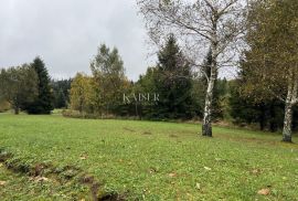 Gorski kotar, Lokve i okolica- kuća Honka sa 4.019m2 građeviinskog zemljišta, Lokve, House