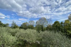 Mošćenička Draga, Obrš - zemljište s ruševinom, Mošćenička Draga, Arazi