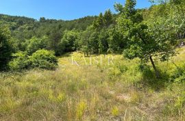 Buzet, Salež – Imanje od 33.000 m2, Buzet, Land