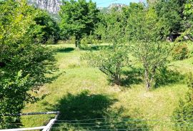 Crikvenica, Bribir - Kuća sa 4 stana i zemljištem, Vinodolska Općina, Haus