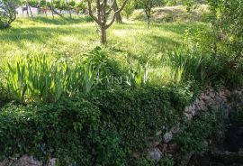 Crikvenica, Bribir - Kuća sa 4 stana i zemljištem, Vinodolska Općina, House