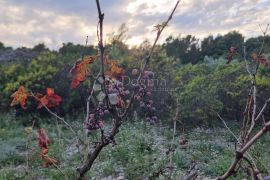 Poljoprivredno zemljište 13472 m2- Milna,Brač, Milna, Terrain