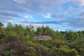 Poljoprivredno zemljište 13472 m2- Milna,Brač, Milna, Terrain