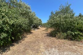 VRSI ZADAR -  KUĆA ZA RENOVIRANJE SA VELIKIM GRAĐEVINSKIM ZEMLJIŠTEM, Vrsi, Haus