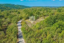 Grožnjan, okolica! Zemljište na mirnoj lokaciji!, Grožnjan, Land