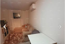 Stan Prostran stan u prizemlju u Brtonigli, Istra., Brtonigla, Apartamento