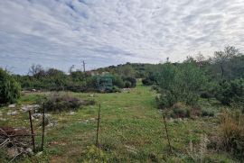 Građevinsko zemljište PRODAJA Donja Jagodnja, 5191 m2, Polača, Γη