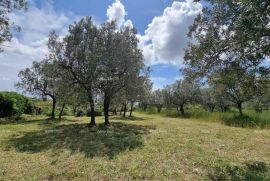 Građevinsko zemljište Prodaje se građevinsko zemljište, 647 m2, u Galižani, Vodnjan, Tierra