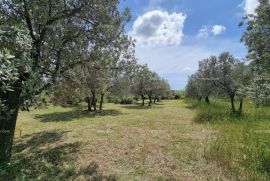 Građevinsko zemljište Prodaje se građevinsko zemljište, 647 m2, u Galižani, Vodnjan, Zemljište