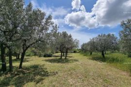 Građevinsko zemljište Prodaje se građevinsko zemljište, 647 m2, u Galižani, Vodnjan, Γη