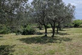 Građevinsko zemljište Prodaje se građevinsko zemljište, 647 m2, u Galižani, Vodnjan, Terrain