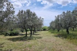 Građevinsko zemljište Prodaje se građevinsko zemljište, 647 m2, u Galižani, Vodnjan, Tierra