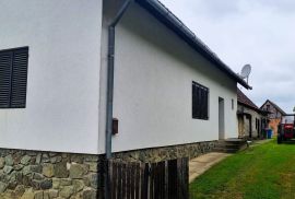 Obiteljska kuća s velikom okućnicom - Zdenci (Orahovica), Zdenci, House