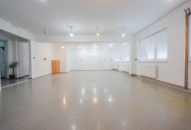 POSLOVNI PROSTOR, ZAKUP, ZAGREB, KUSTOŠIJA, 185 m2, Črnomerec, Commercial property