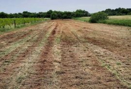 Građevinsko zemljište Prodaja građevinskog zemljišta, Muntić, Ližnjan, أرض