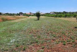 Građevinsko zemljište Prodaja građevinskog zemljišta, Muntić, Ližnjan, Arazi