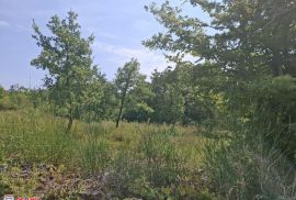 ISTRA, LABIN - OKOLICA, GRAĐEVINSKO ZEMLJIŠTE, 1.800 M2, Labin, Land