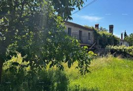 Kuća Prodaja kuće sa  stajom i zemljištem u blizini Barbana!, Barban, Casa