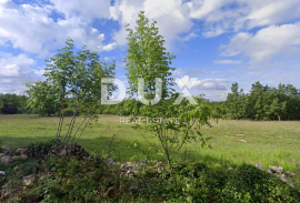 ISTRA, VIŠNJAN - Građevinsko zemljište na mirnoj lokaciji, Višnjan, Land