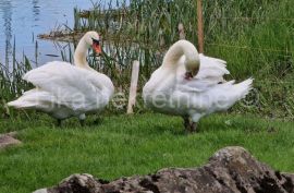 ČOVIĆI ( Otočac ) - građevinsko zemljište u blizini rijeke Gacke, Otočac, Tierra