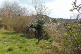 Izvrsno građevinsko zemljište na prekrasnoj lokaciji, Buje, Terreno